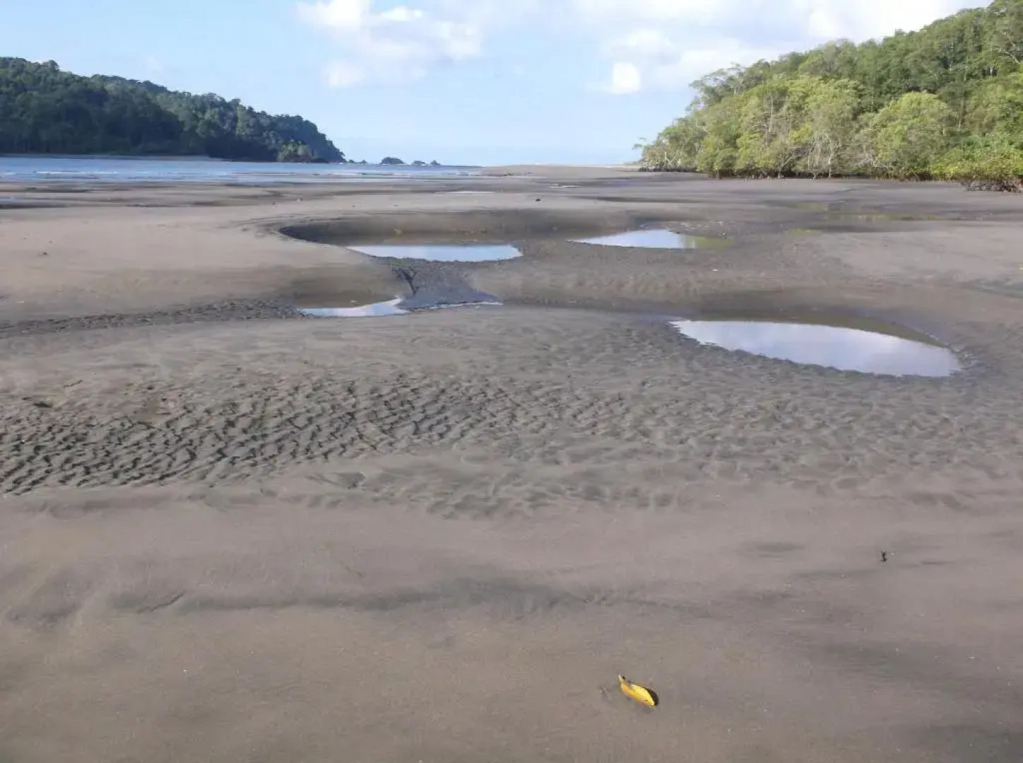 Hotel Veragua River House