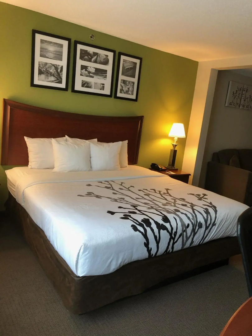 Sleep Inn & Suites Laurel near Fort Meade