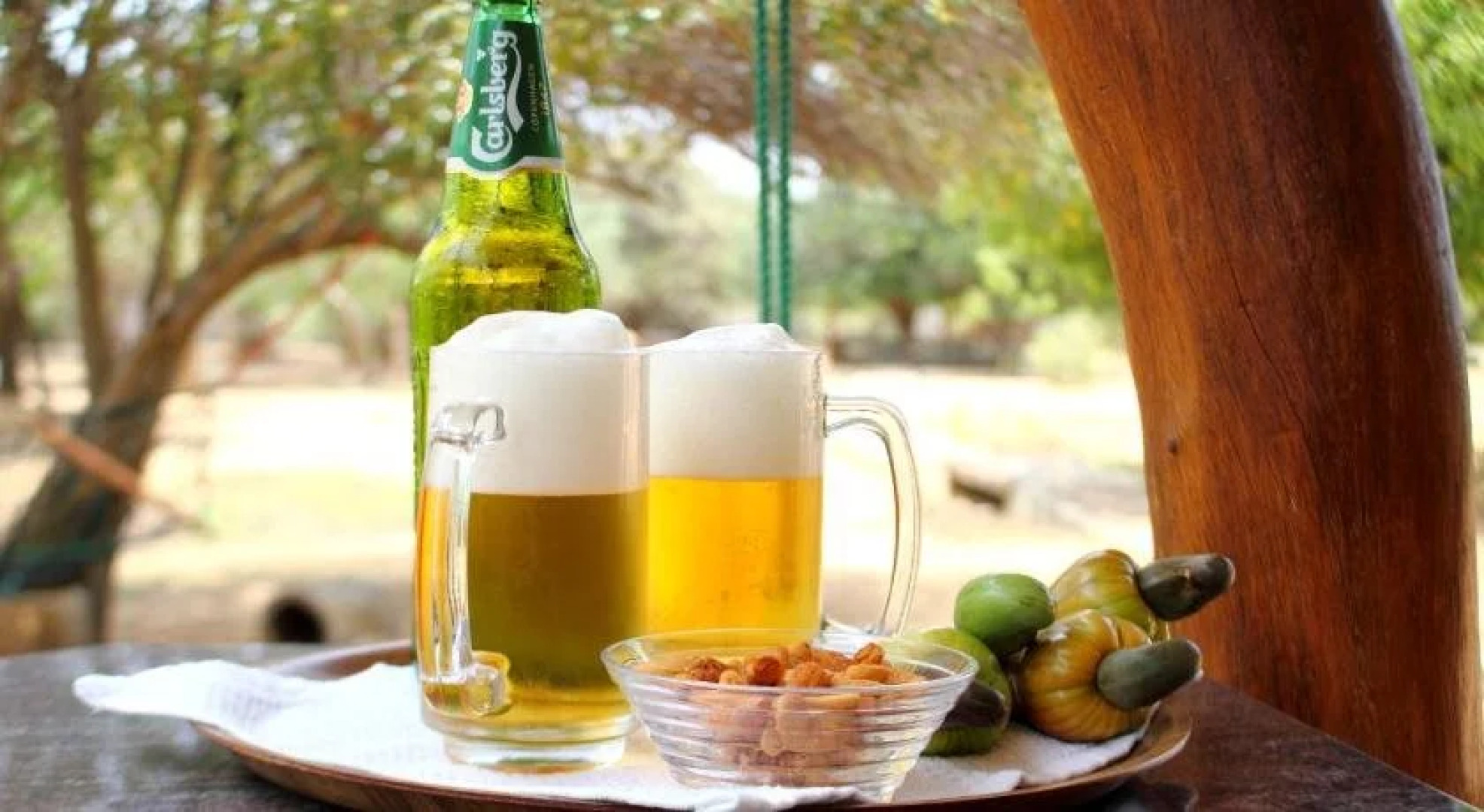 Leopard Corridor Yala