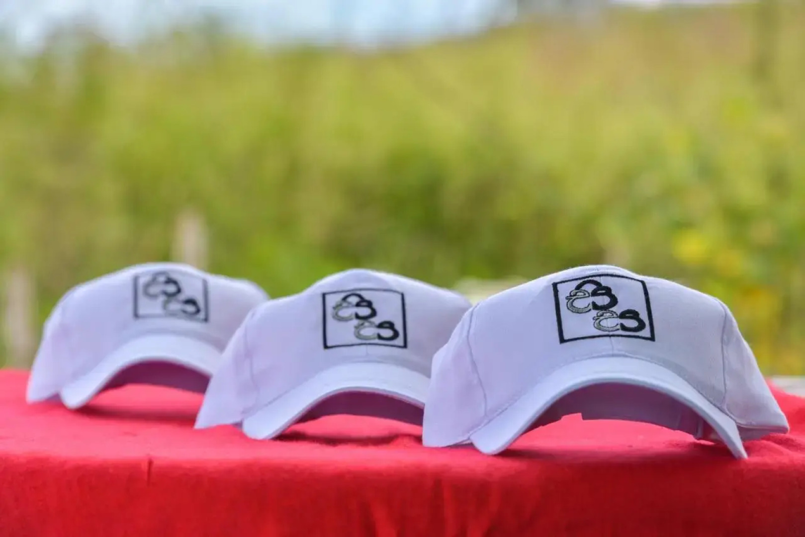 Singha Sanasa Luxury Homestay