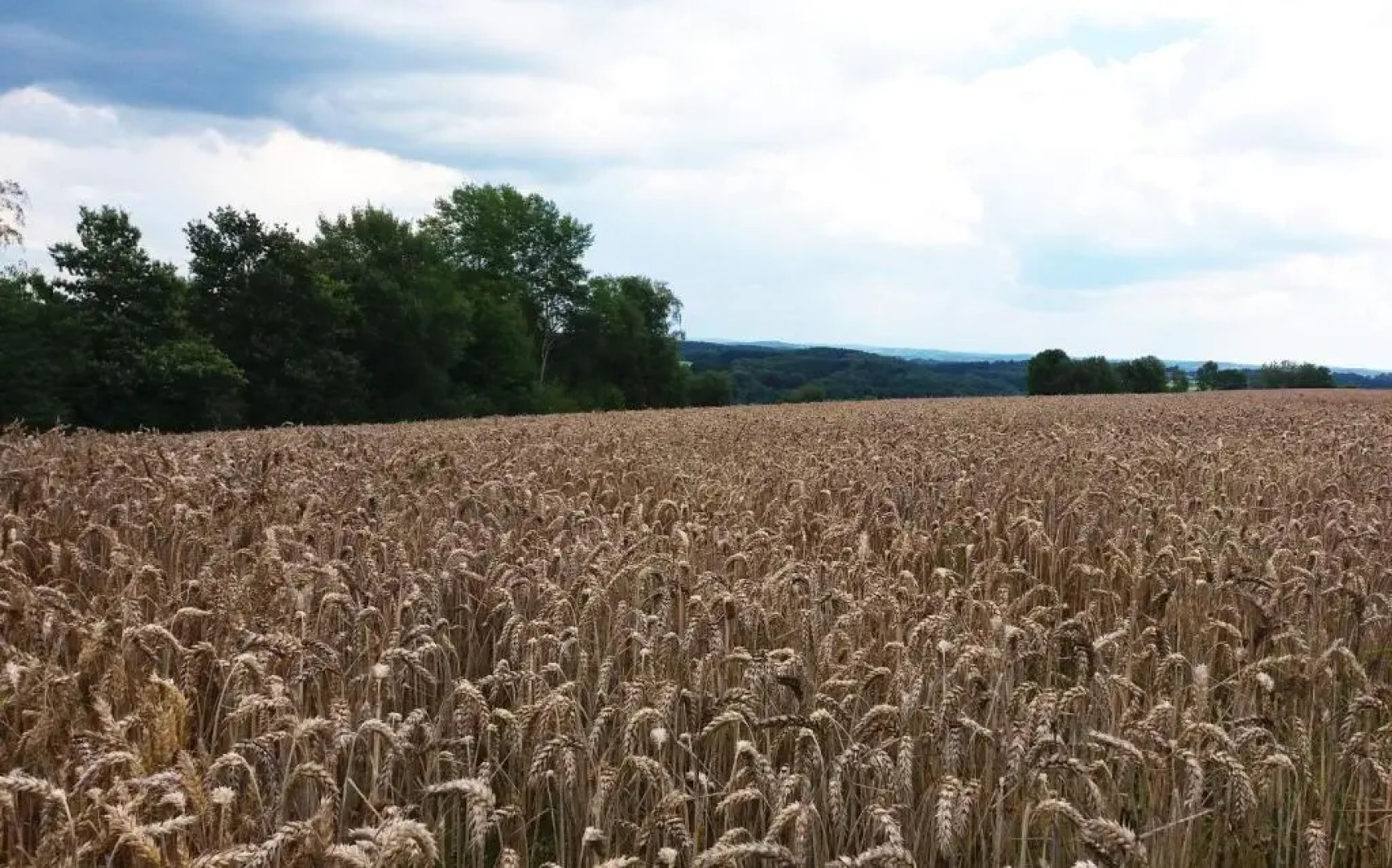Gräfrath Gästehaus Neunkirchen-Seelscheid