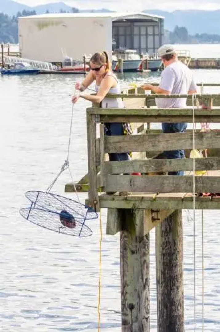 The Garibaldi House Inn & Suites