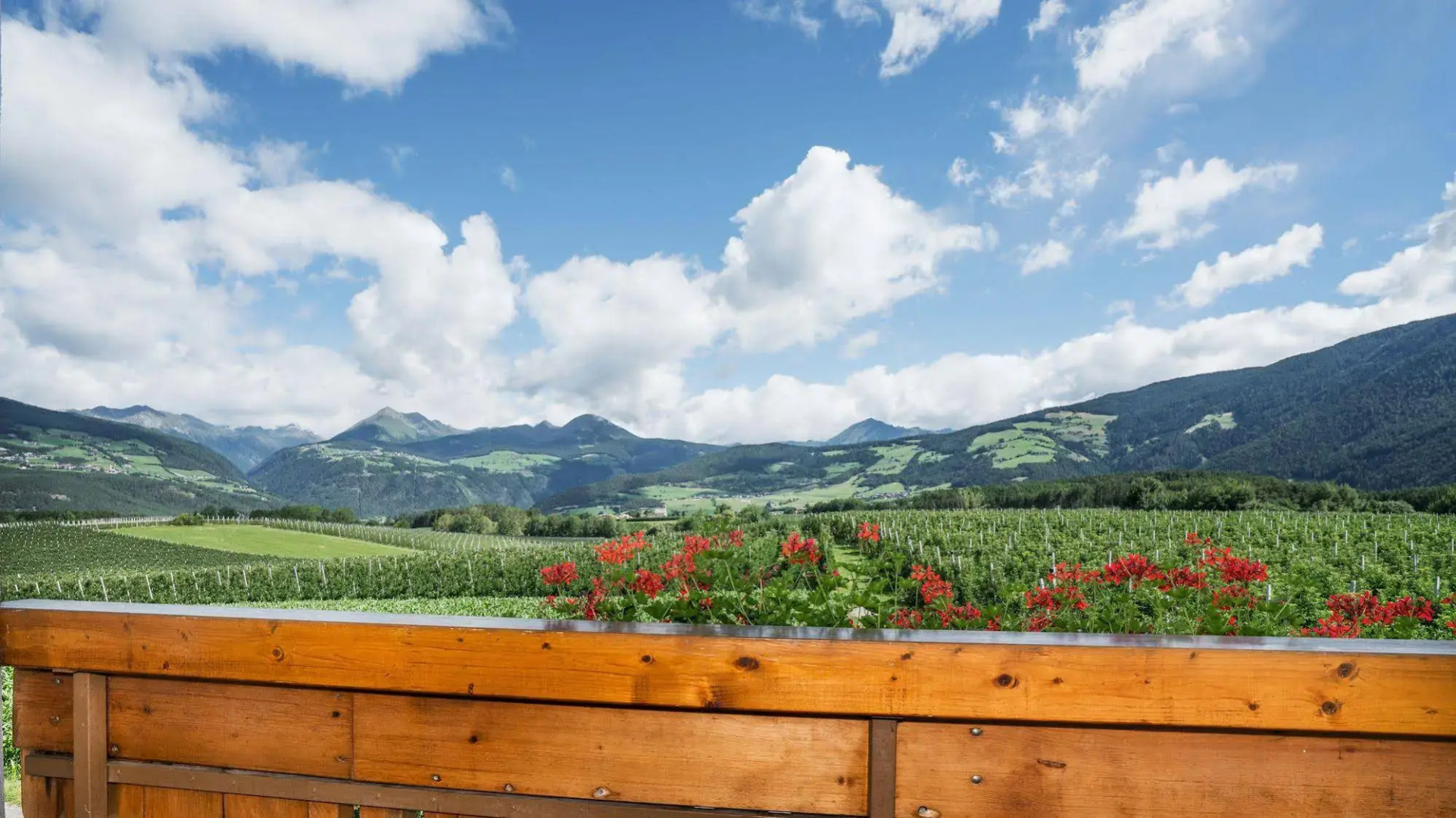 Mineralienhotel Natznerhof