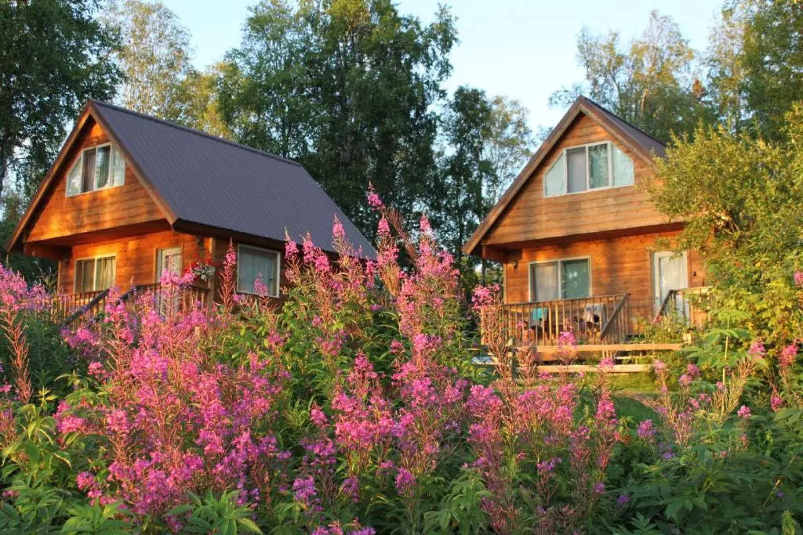 Riverside Cabins at Susitna River Lodge