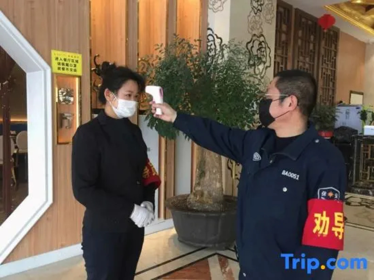 GreenTree Eastern Bengbu City Guzhen County Century Hotel