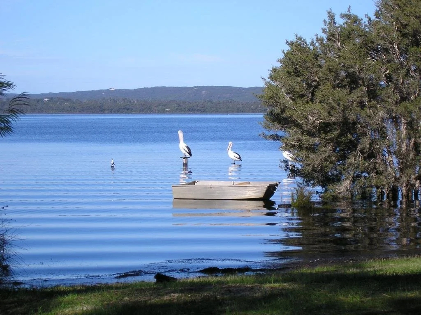 Denmark Waters B&B