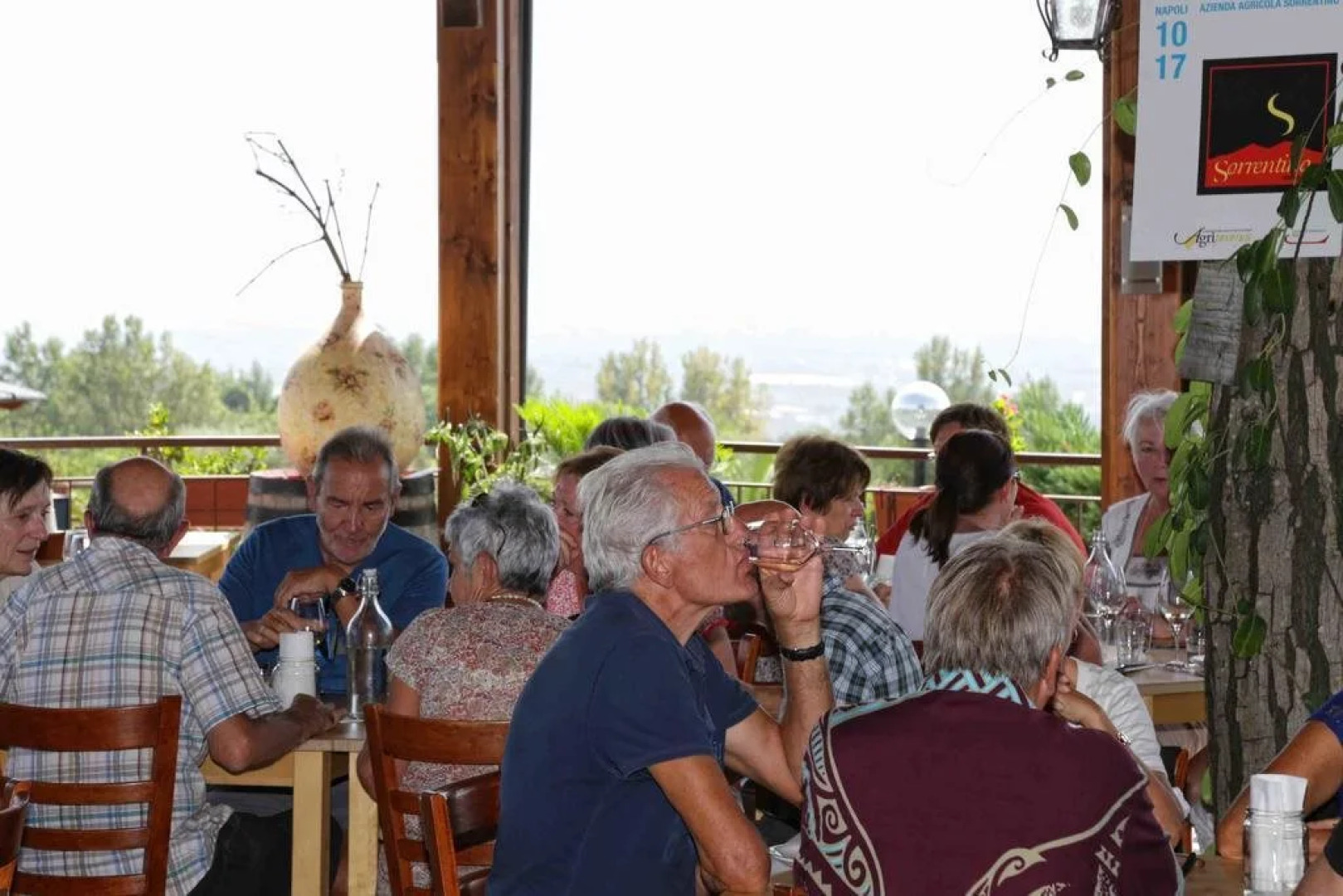 Sorrentino Vini Country House