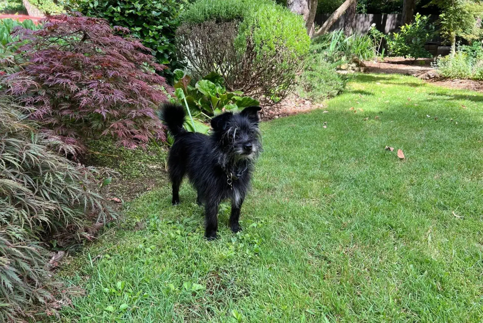 Banyula Annex - stylish and contemporary retreat