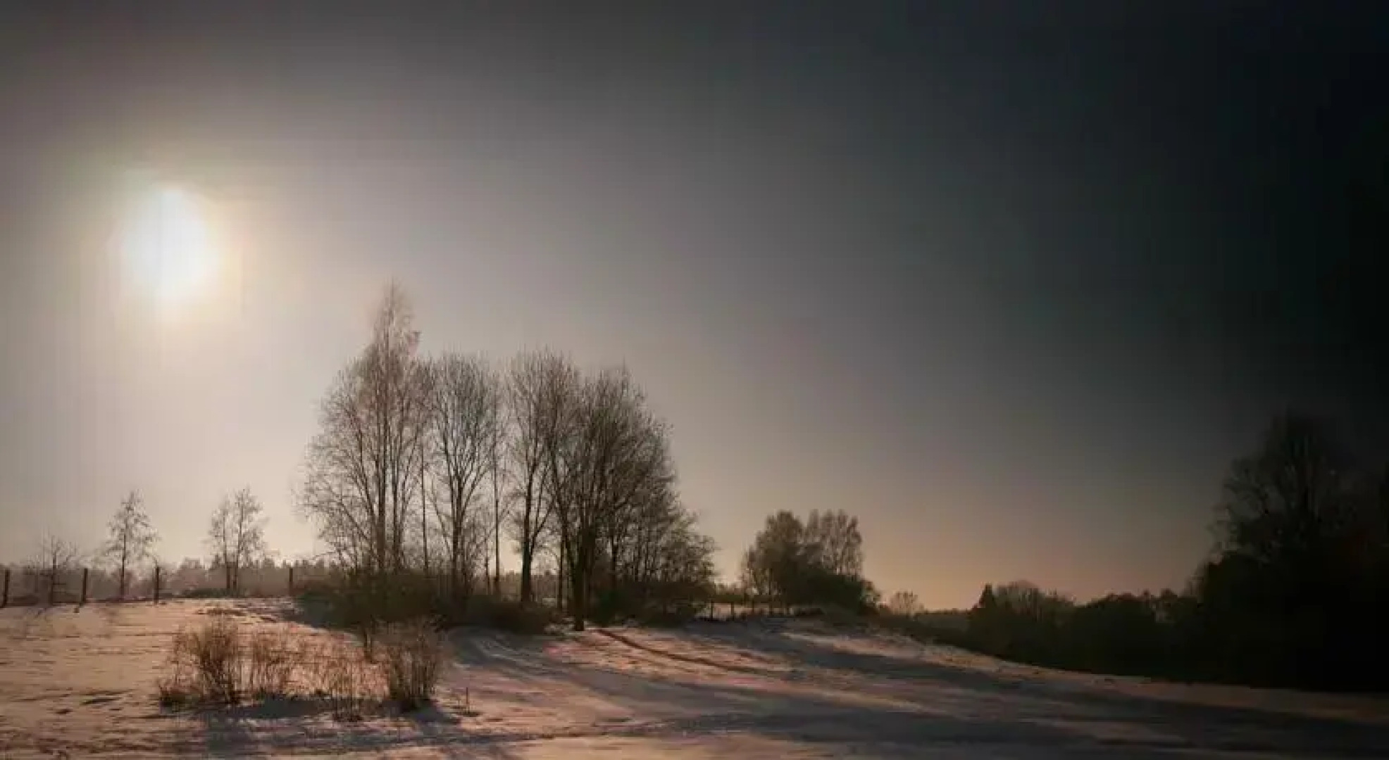 Rezerwat Smaków Leśne Wrota