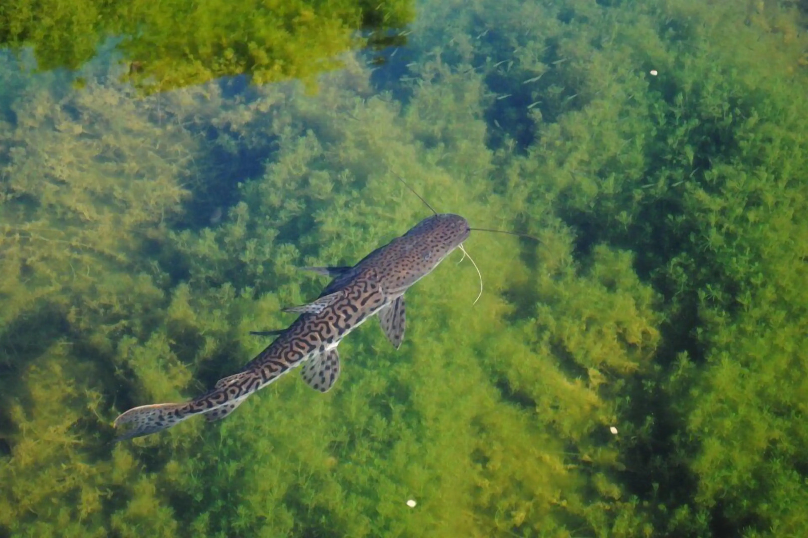 Pousada Recanto dos Pássaros
