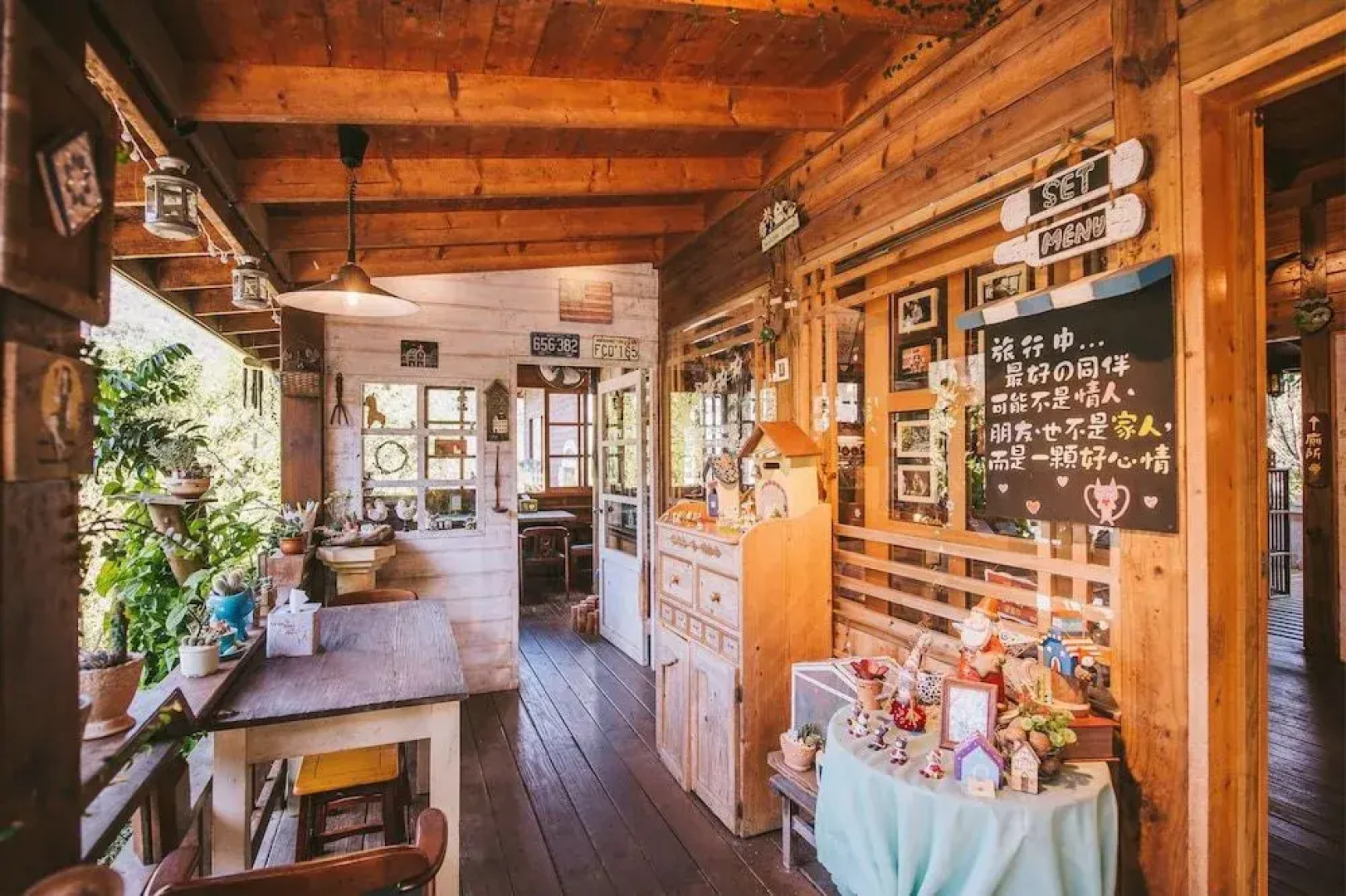 Nanzhuang Olive Tree