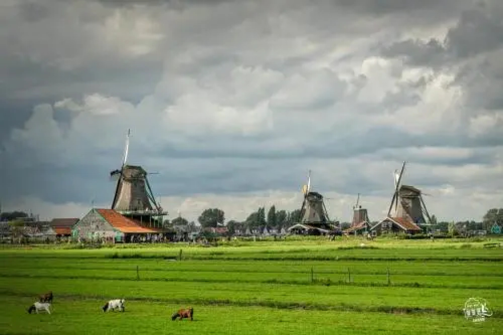 Zaanhof Luxurious Amsterdam Zaanse Schans Loft Apartment