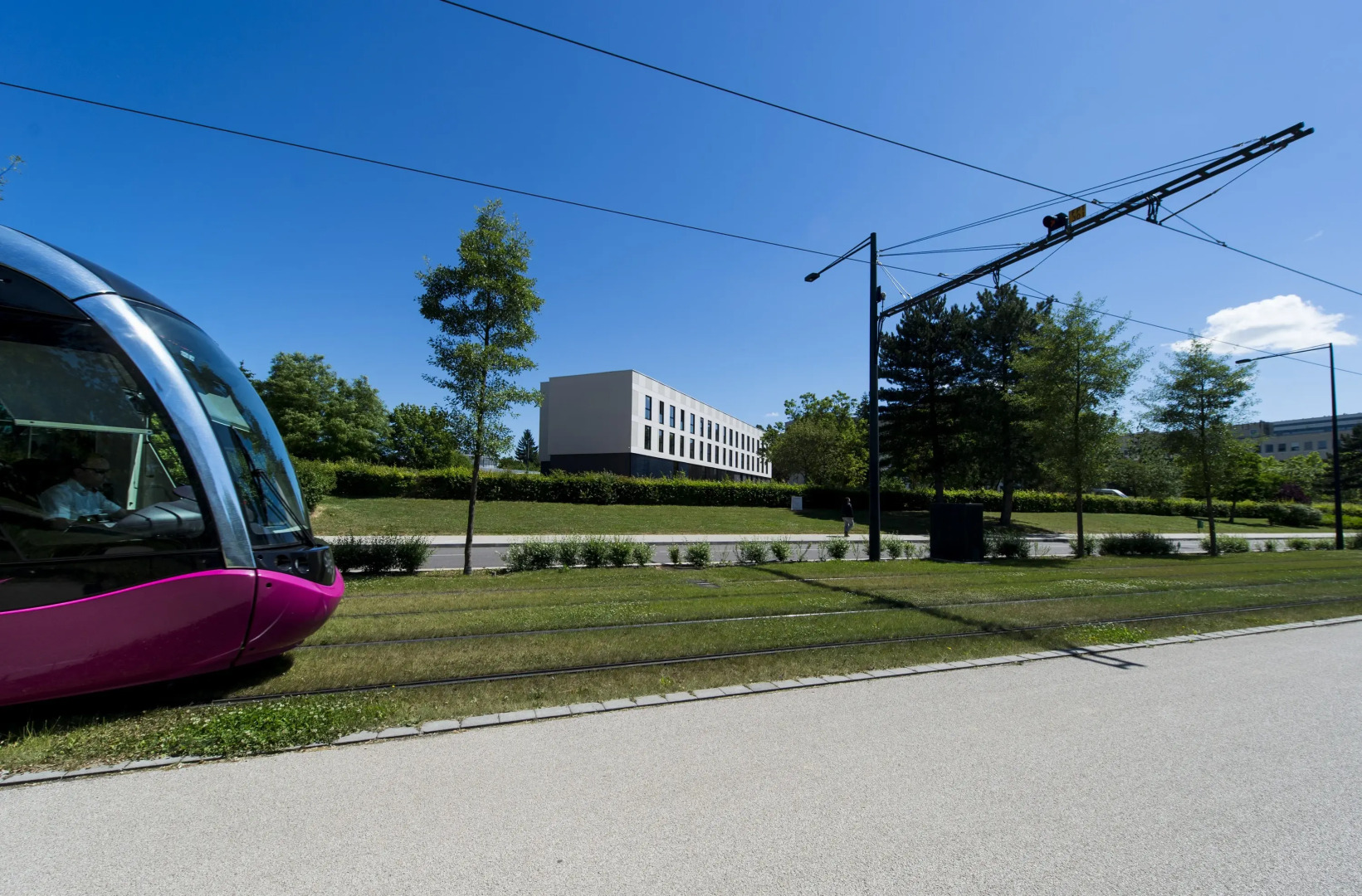 Adonis Dijon Maison Internationale