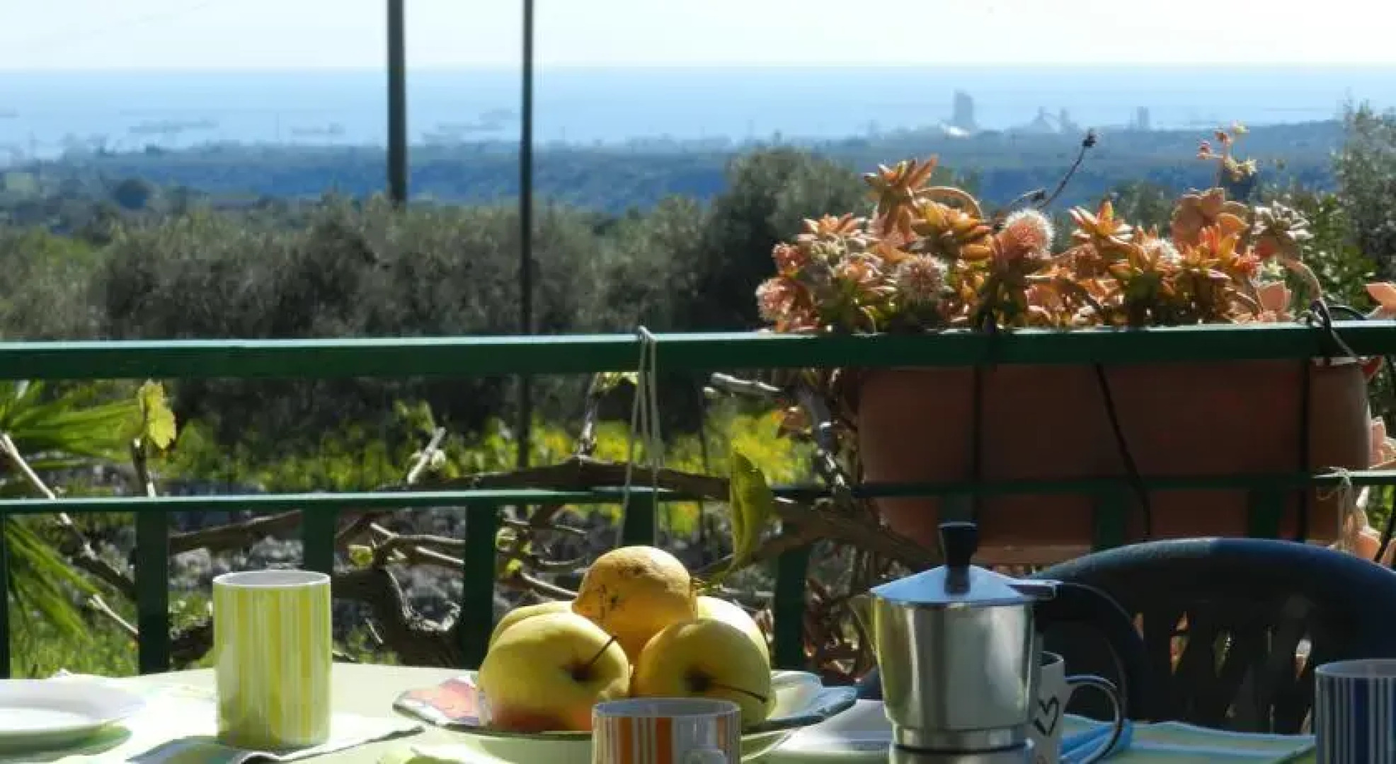 Azienda Agricola Santa Caterina