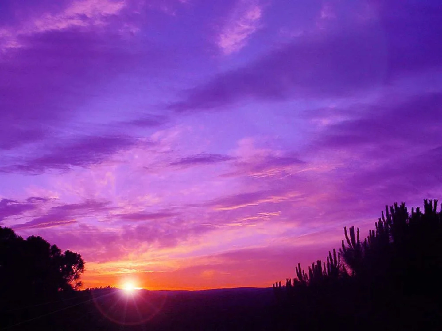 La Bastide des Templiers