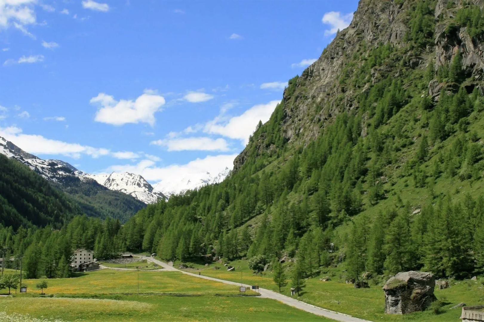 Maison Des Myrtilles