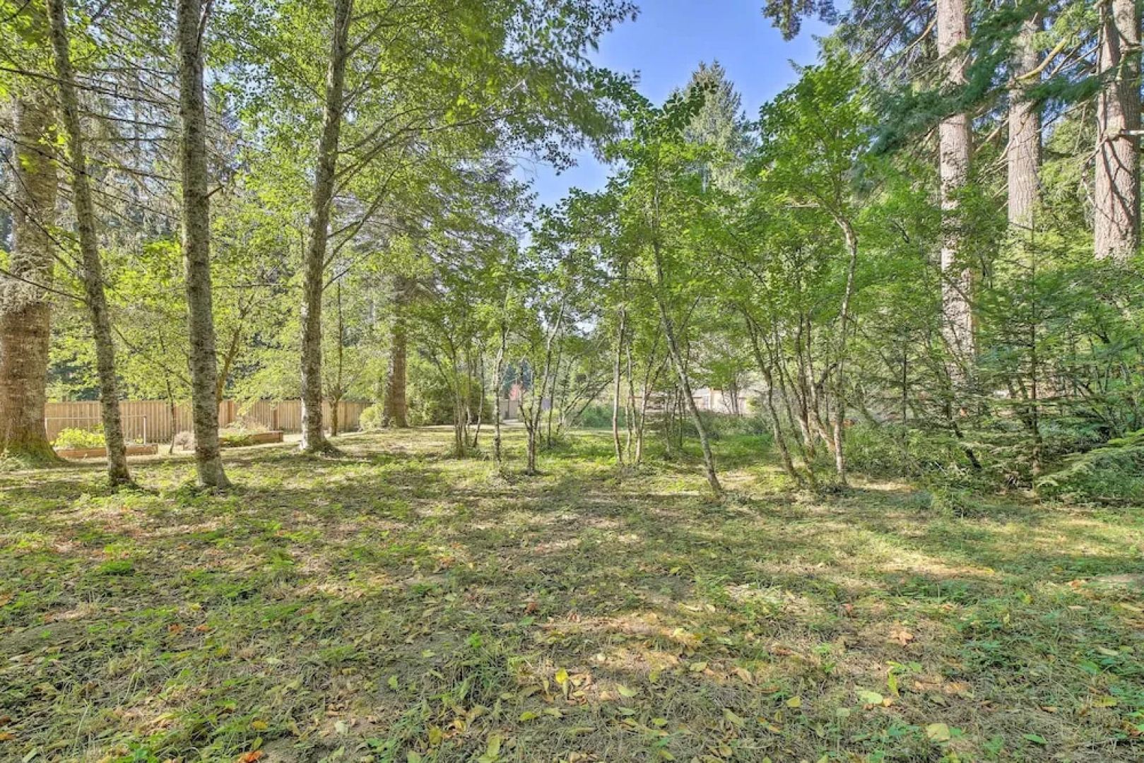 Cozy 'black Bear Retreat' by Mount Rainier!