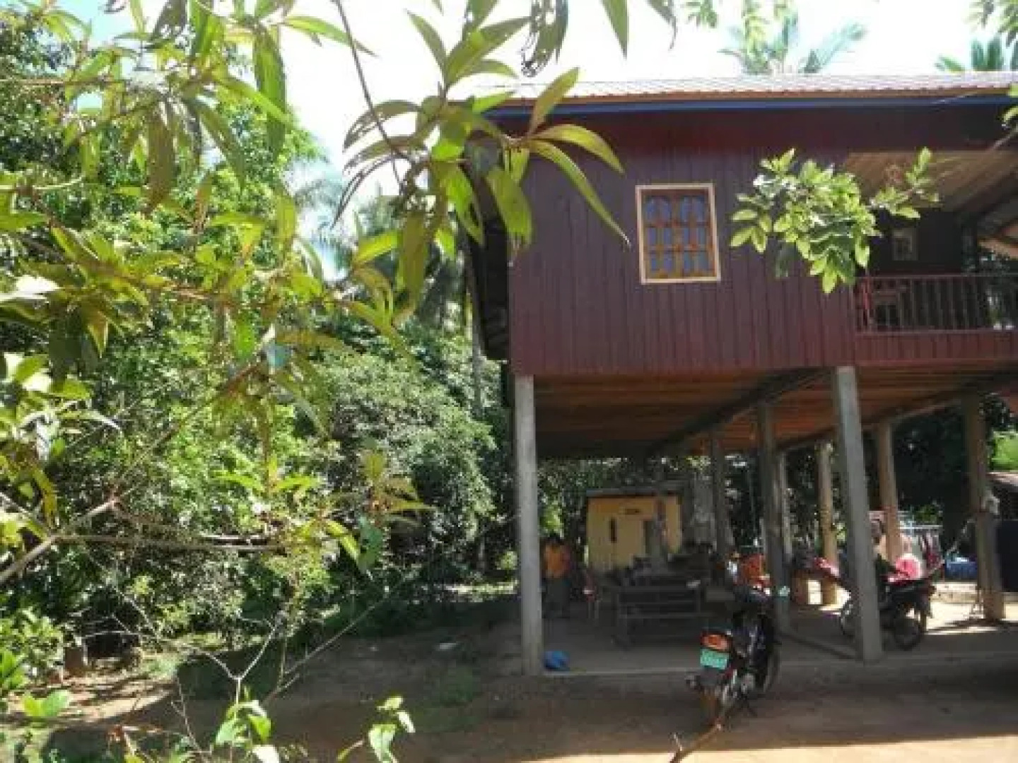 Palm Civet Guesthouse