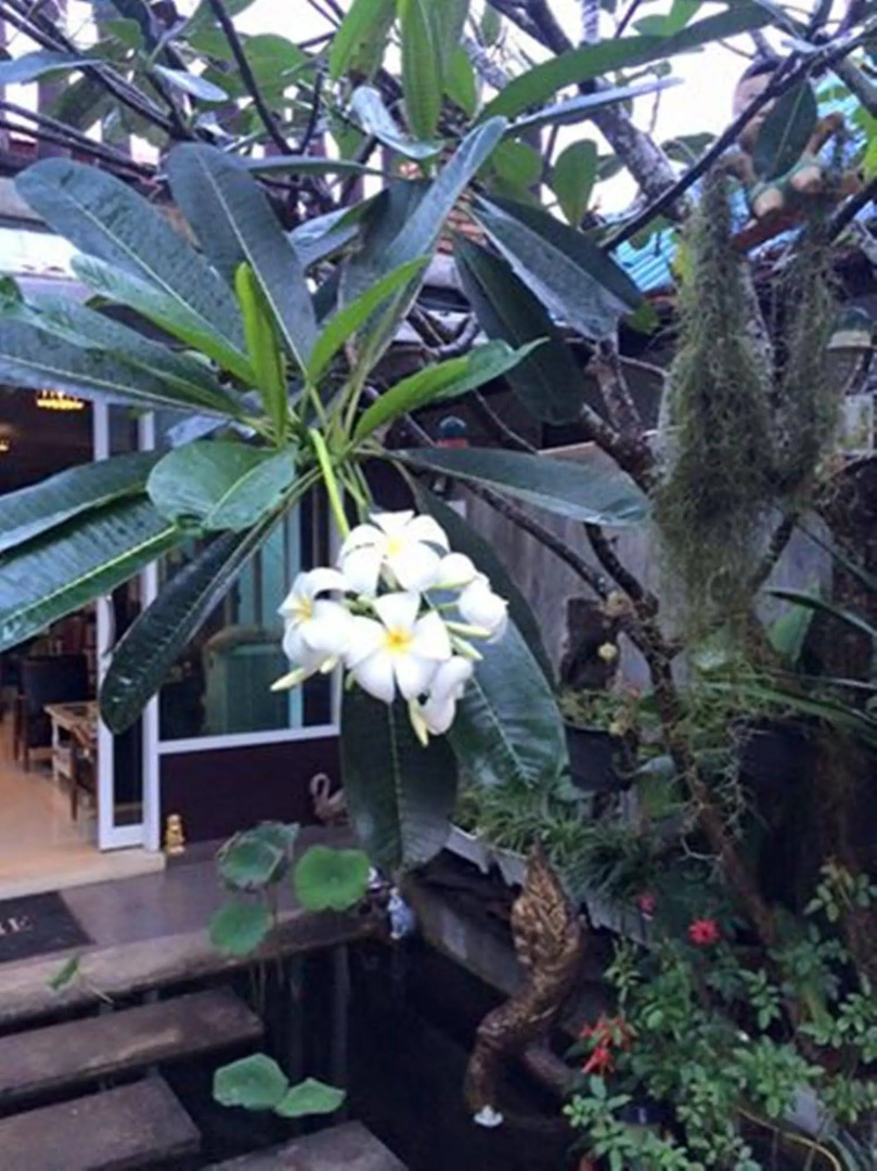 The River House Hotel