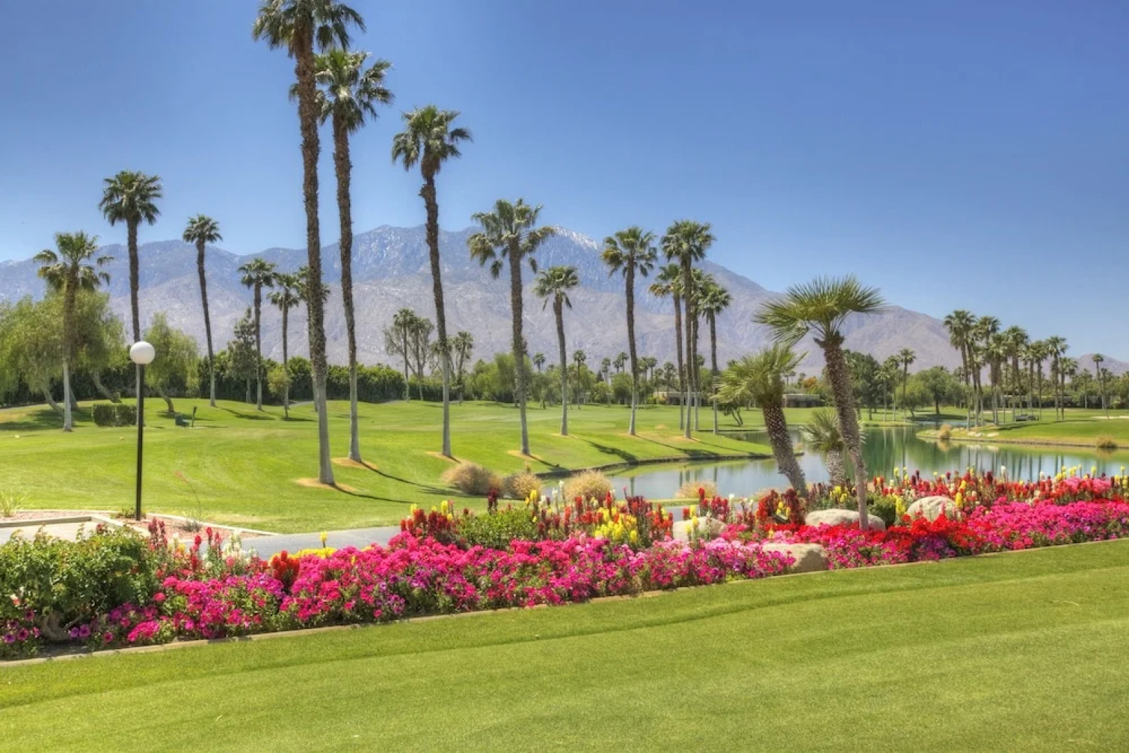 Best Value in Palm Springs for 4 Persons City License146,17751,17753,17754,17755