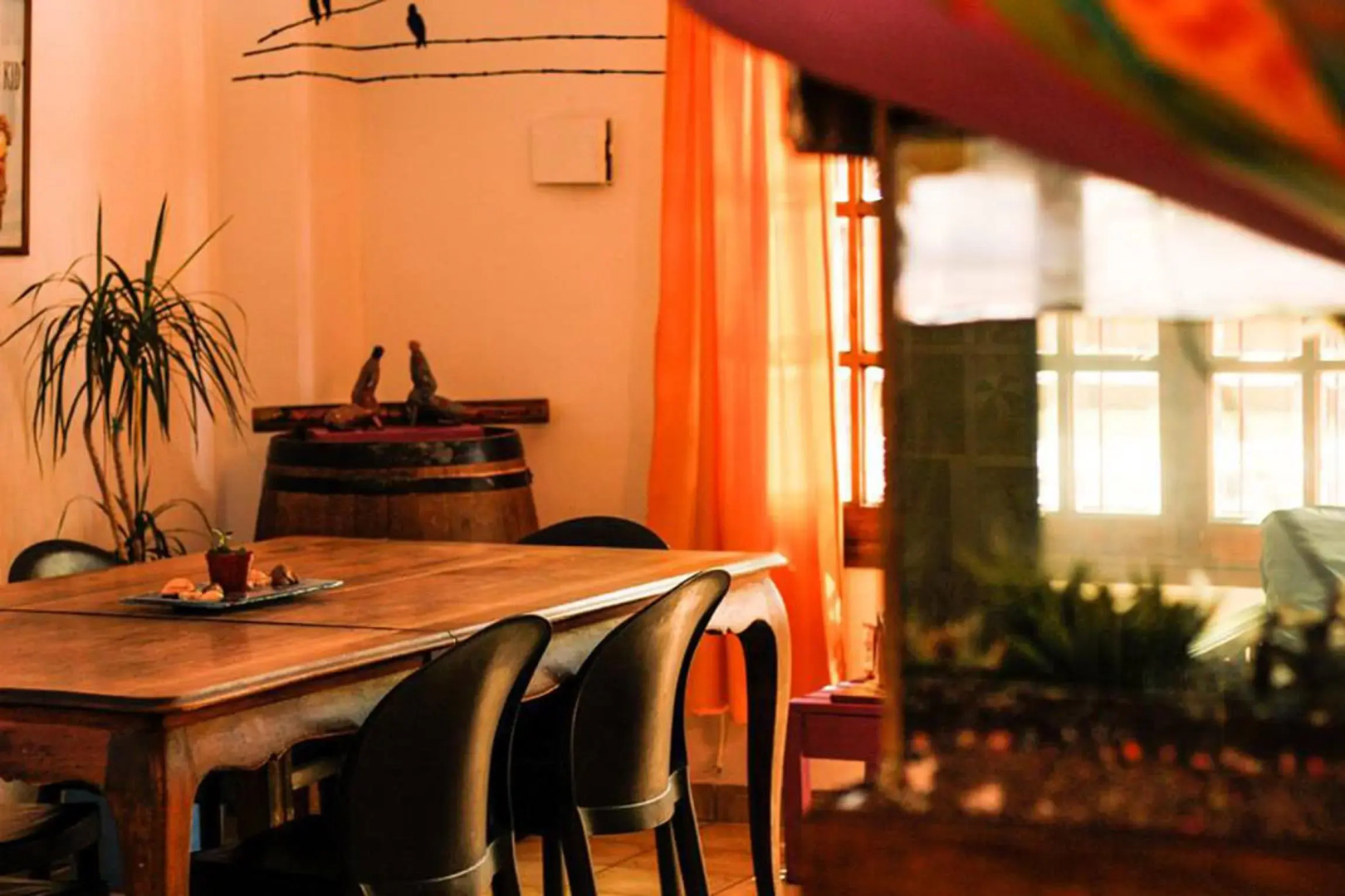 Hostel Parque Central