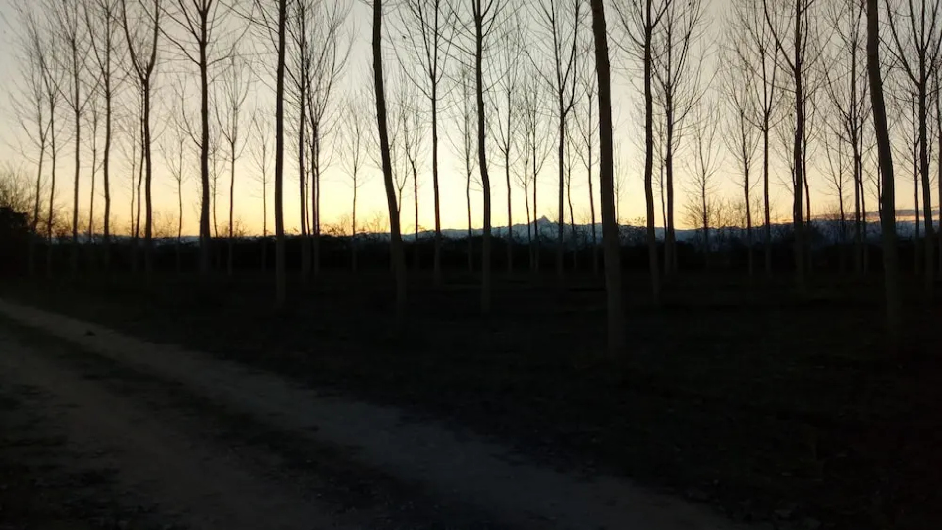 Bed & Breakfast Cascina Bellezza