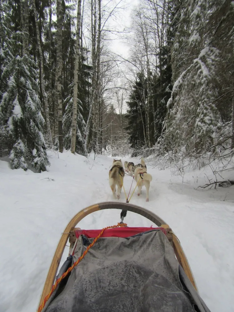Knut's Camping och Lägenheter