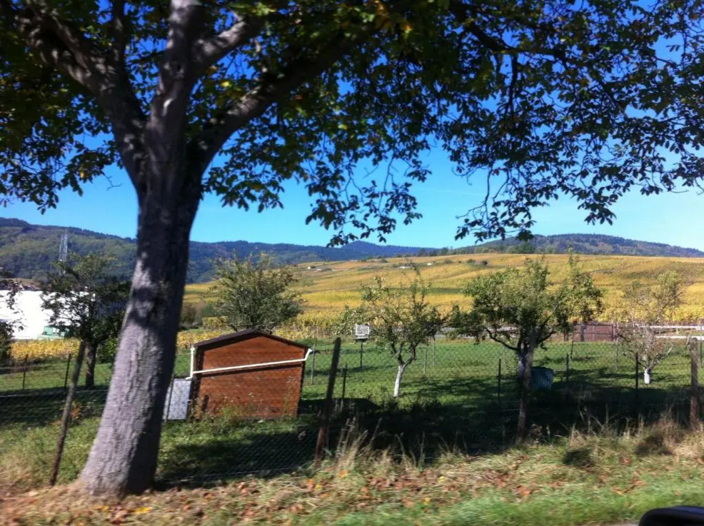 Apartment Cali Elina