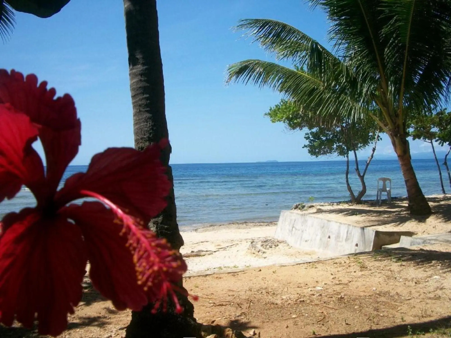 Toris Backpackers Paradise