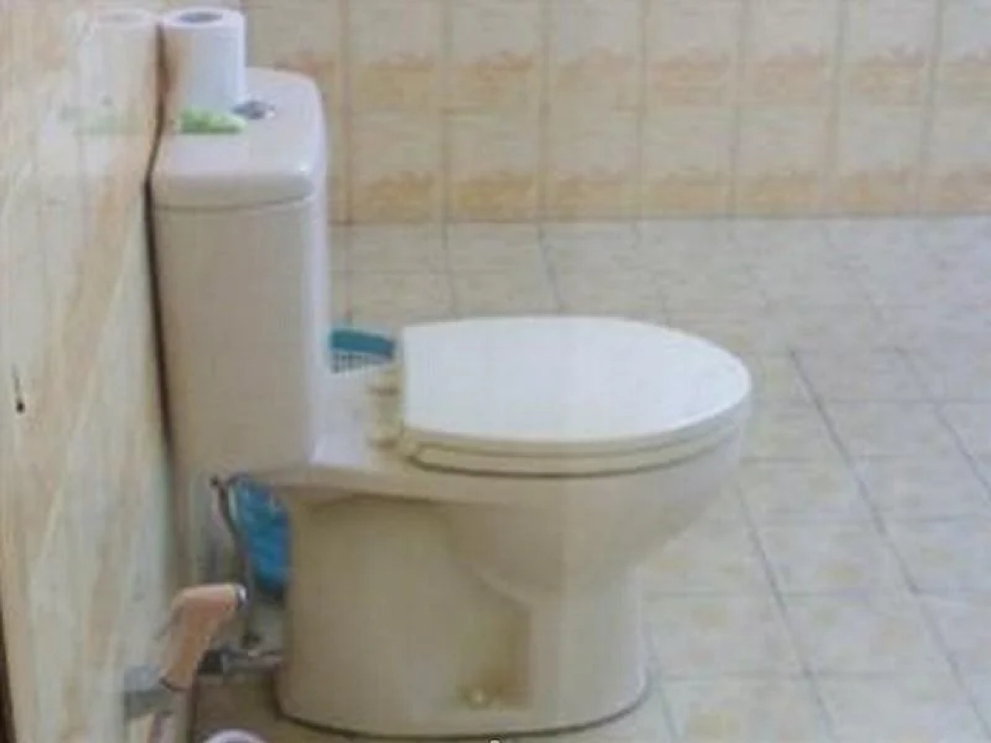 Gunung Mas Pemuteran