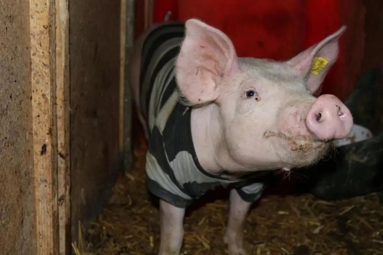 Kräuterbauernhof Rosenkranz