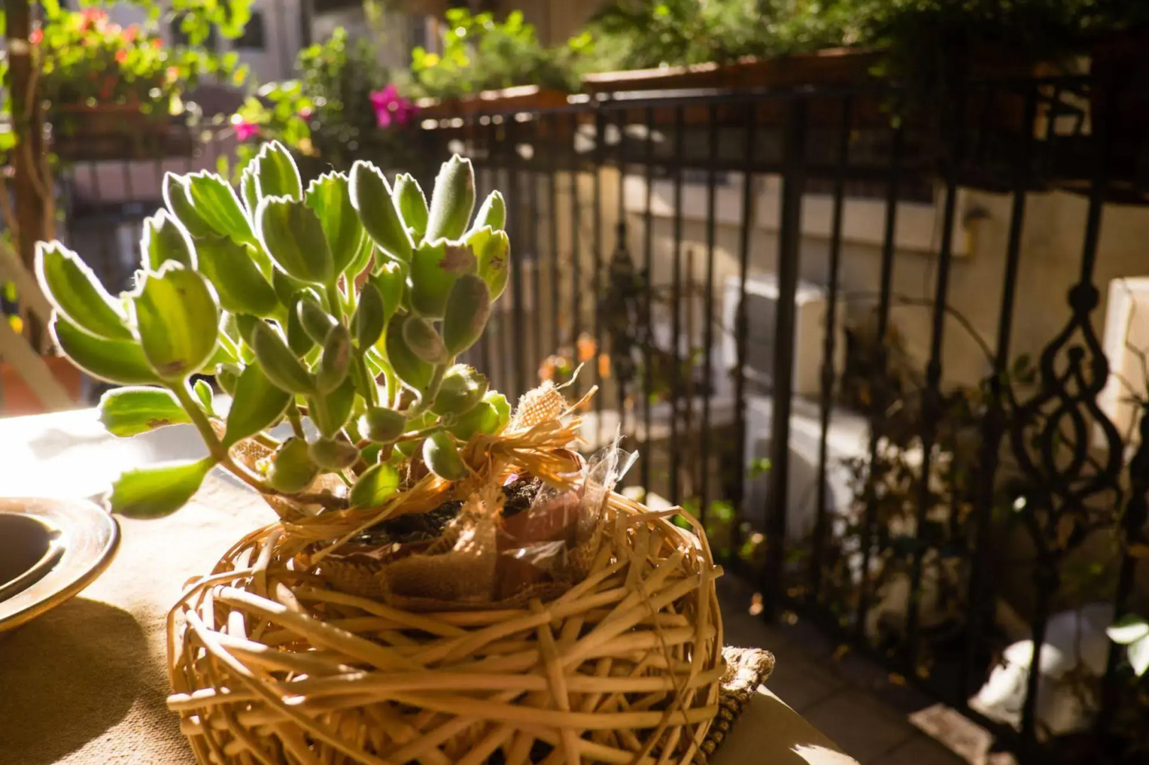 Roccaforte Scaligera