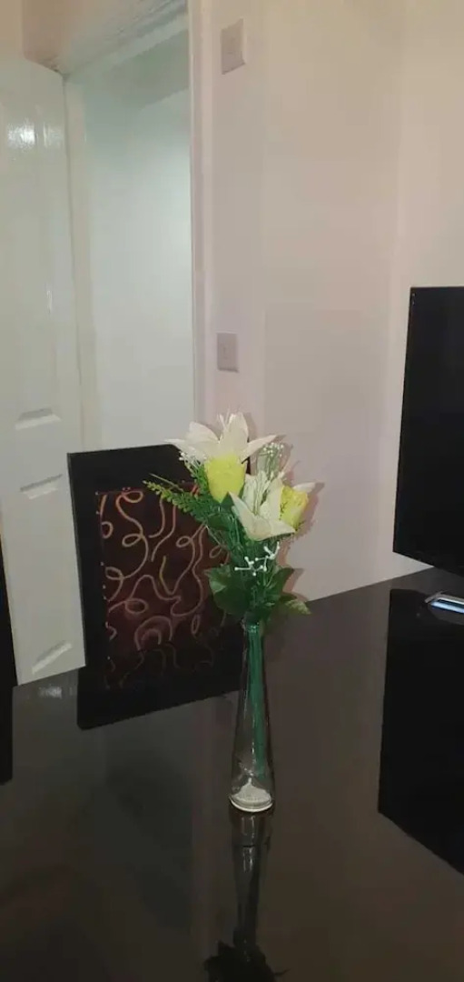 Fantastic New Room-4