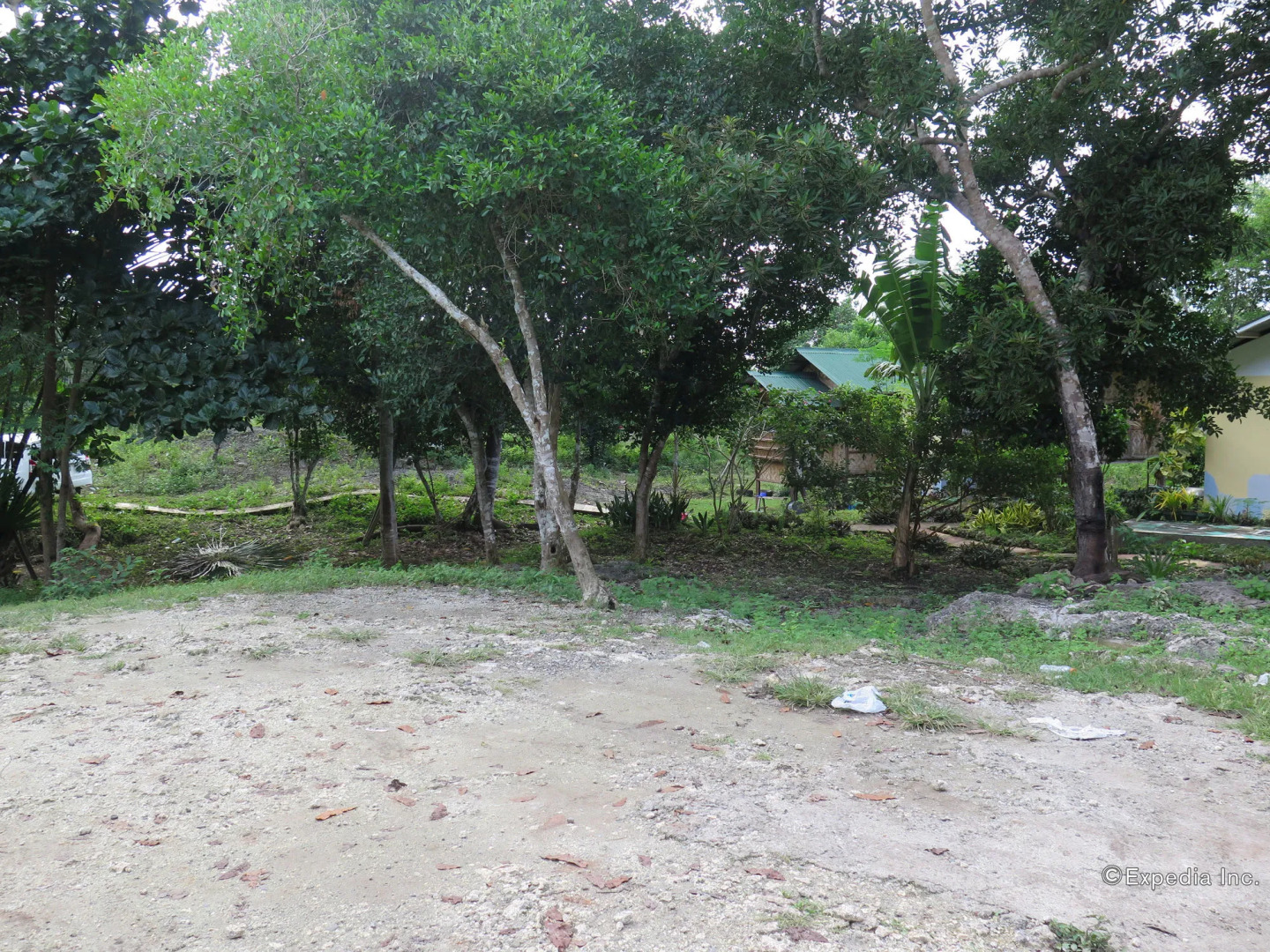 Alexis Cliff Dive Resort