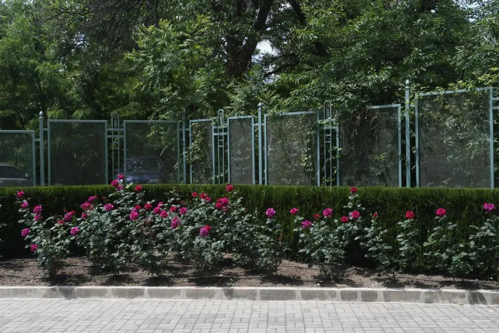 Apartcomplex Splendid