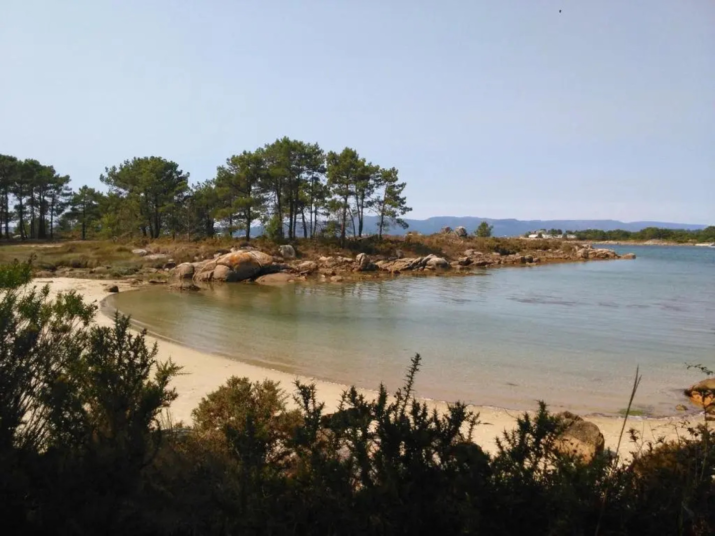 Apartamentos la Pasarela