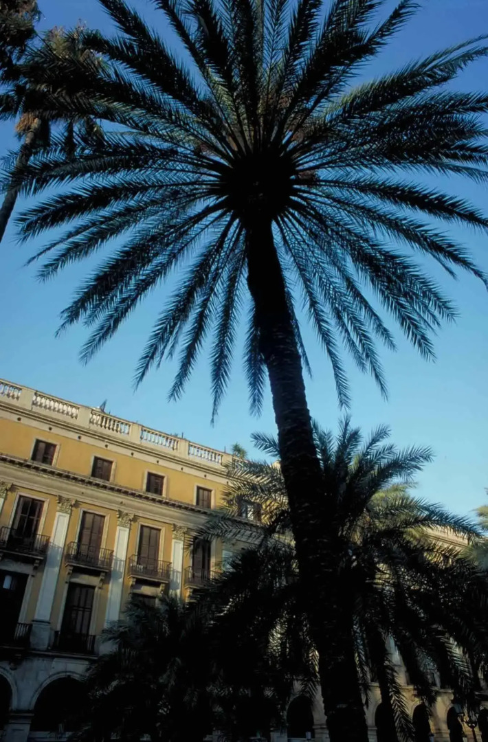 ibis Barcelona Montmelo-Granollers