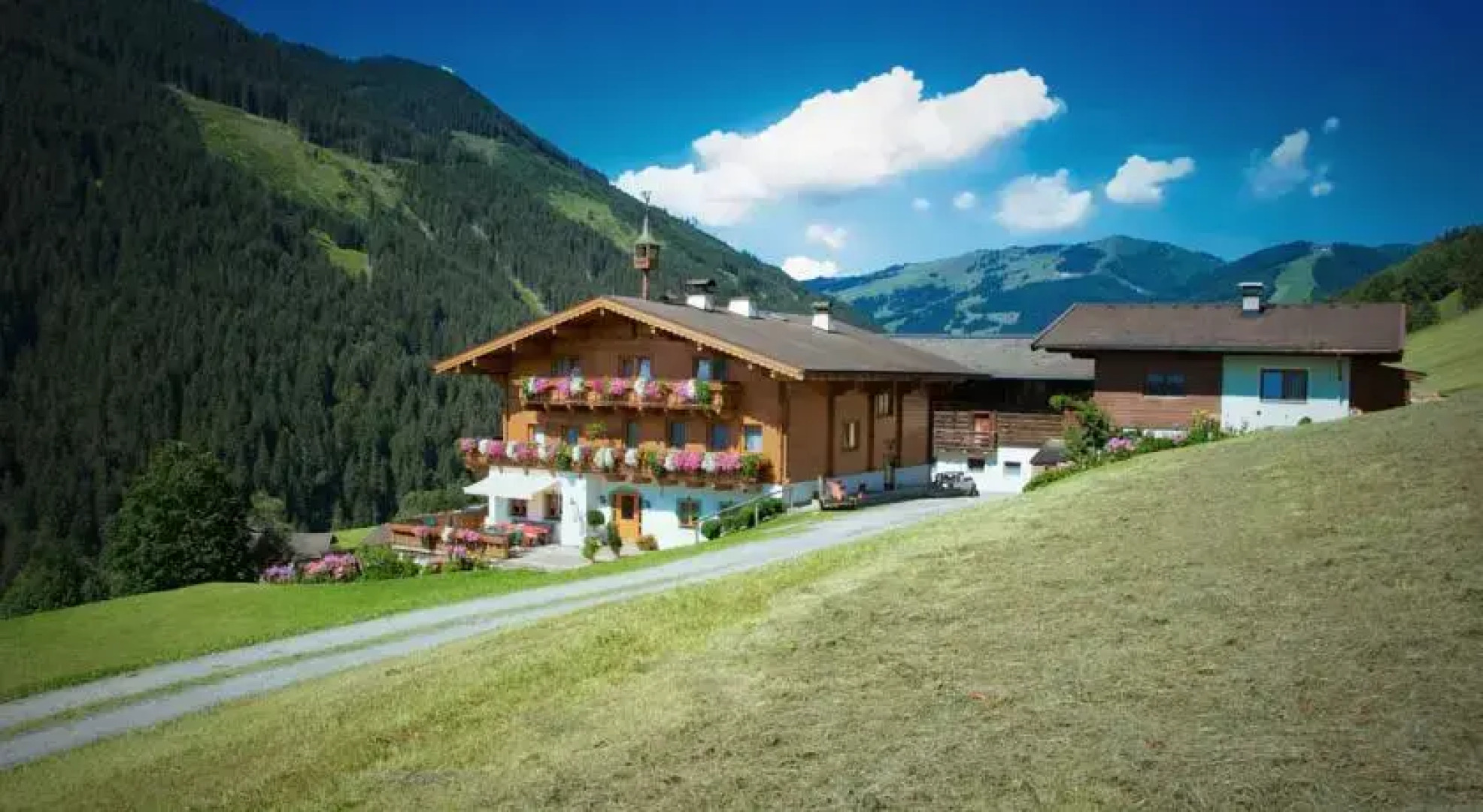 Ferienhof Wölflbauer