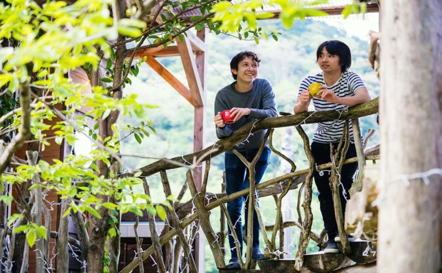 Guesthouse Momonga Village - Hostel