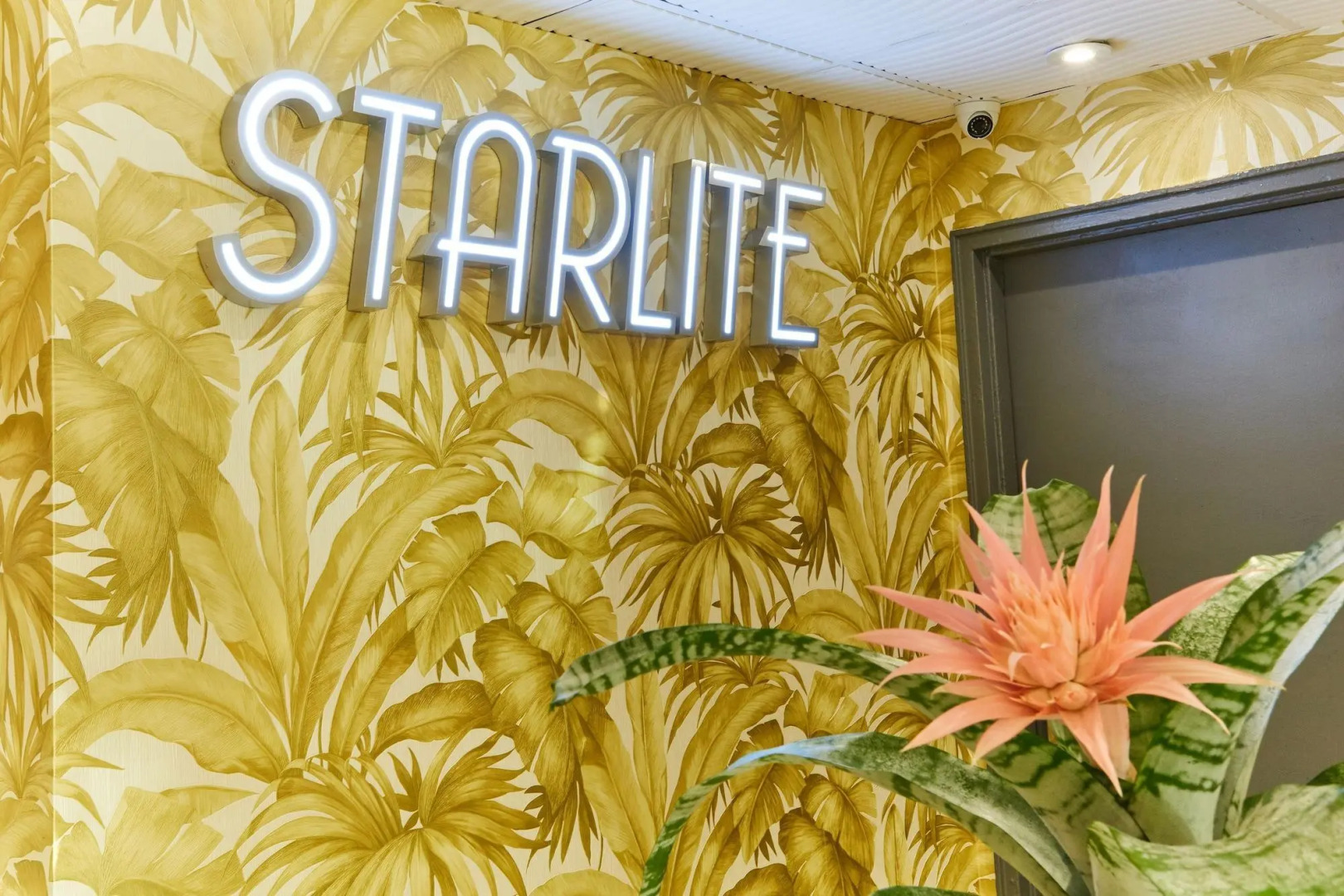 Starlite Hotel