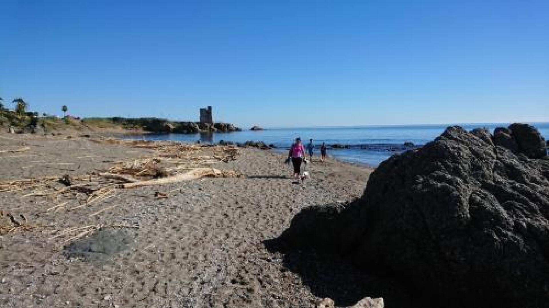 Estrella de La Bahia