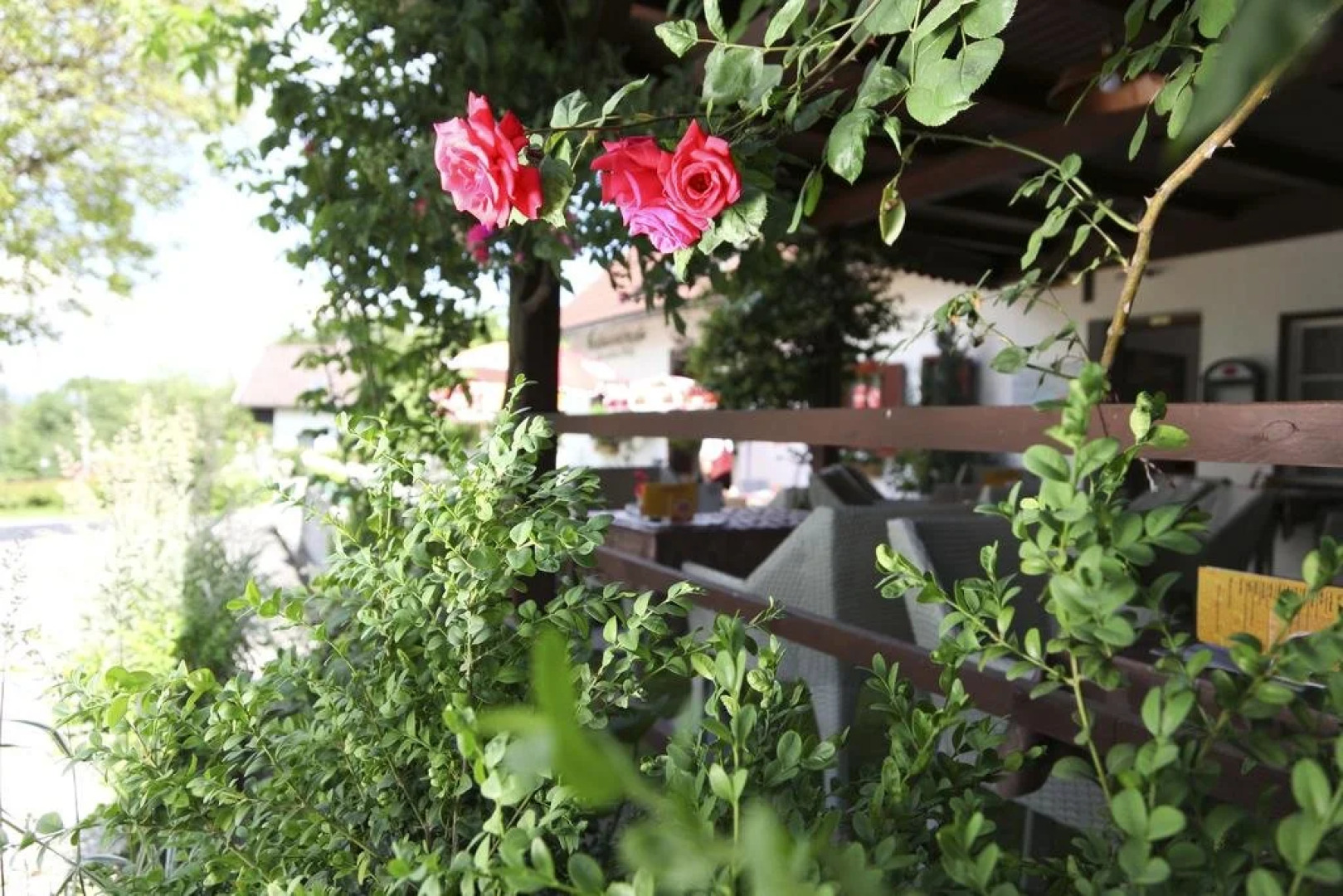 Gasthof Pension Weißes Rössl