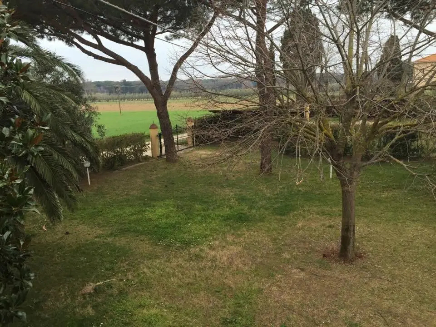 Podere Il Castellaccio Pianetti