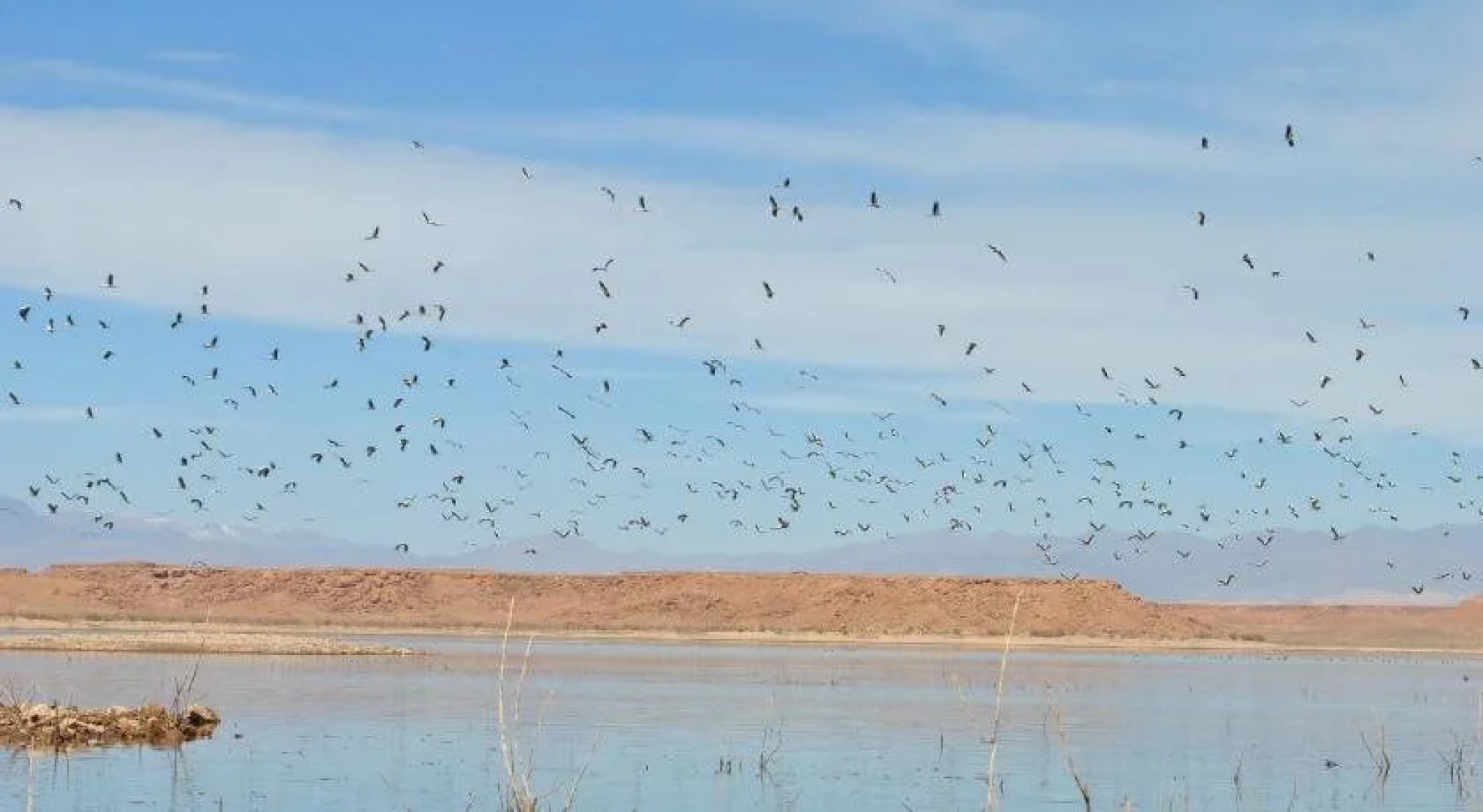 Ecolodge - La Palmeraie