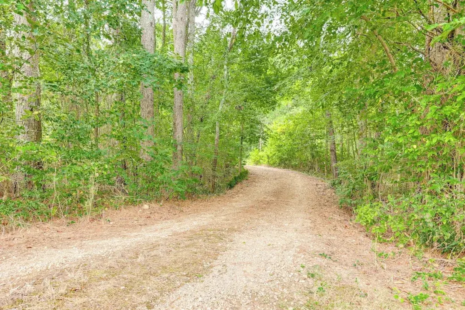 Riverfront Cabin on 2 Acres in Glenwood!