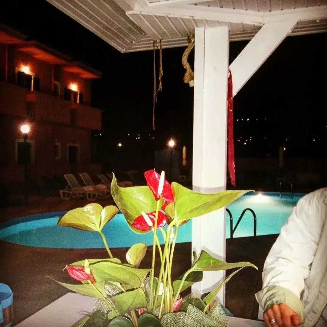Sofia's House