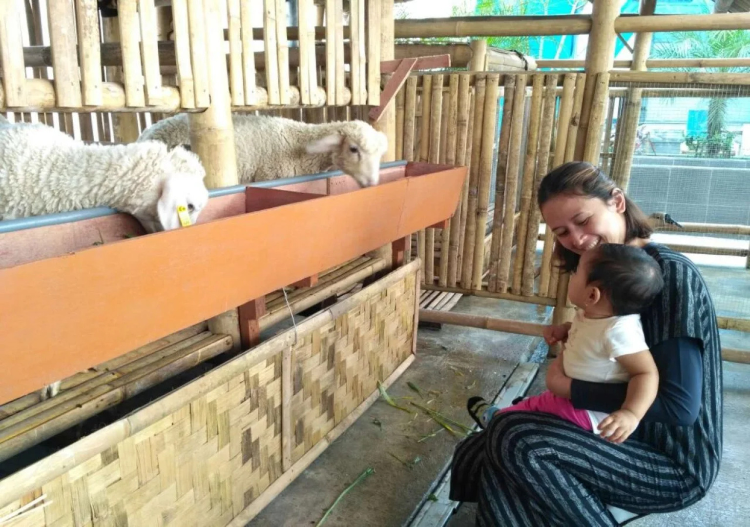 Grand Tjokro Premier Bandung