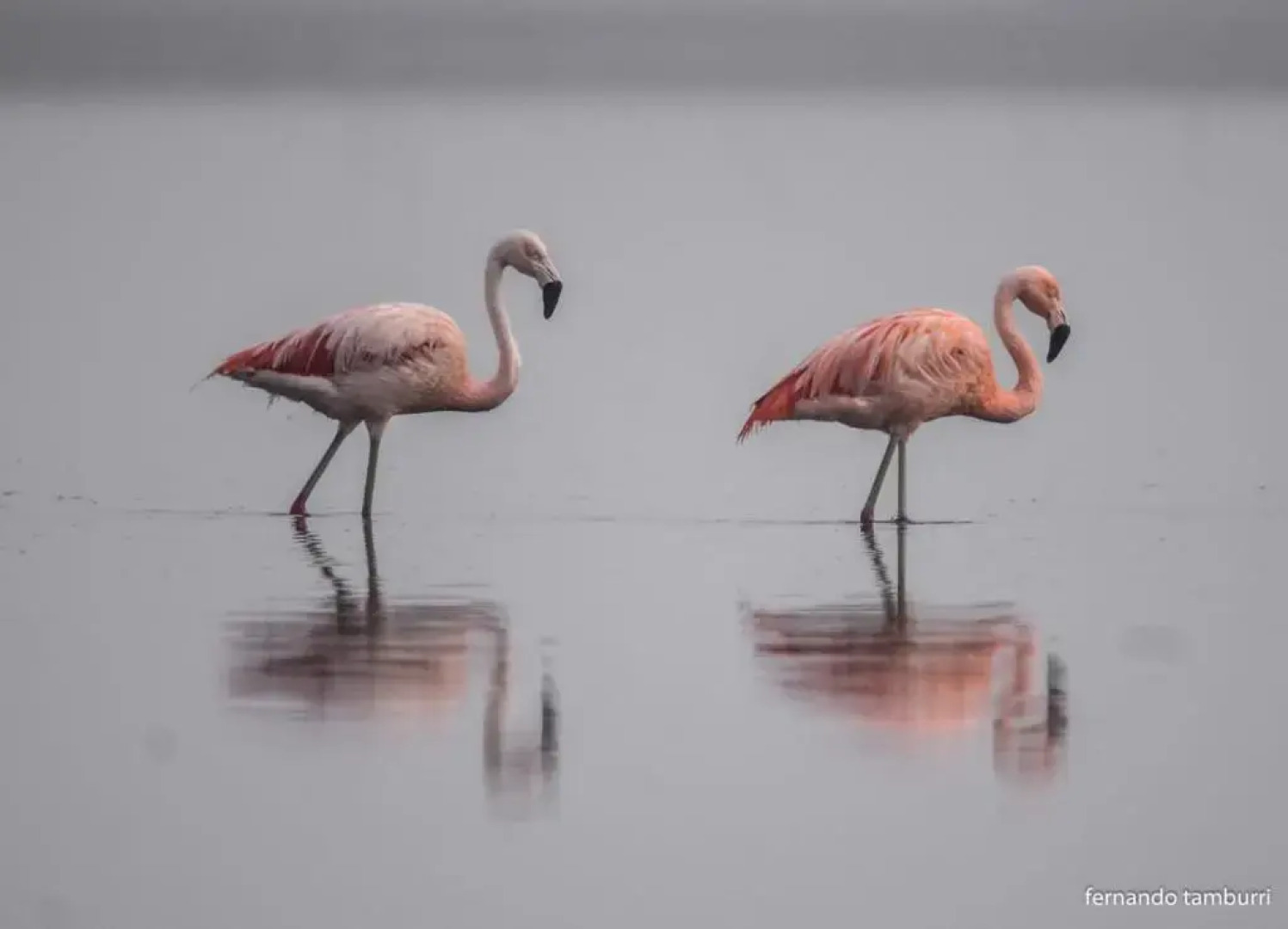 Vagamundo Hostel Carhue