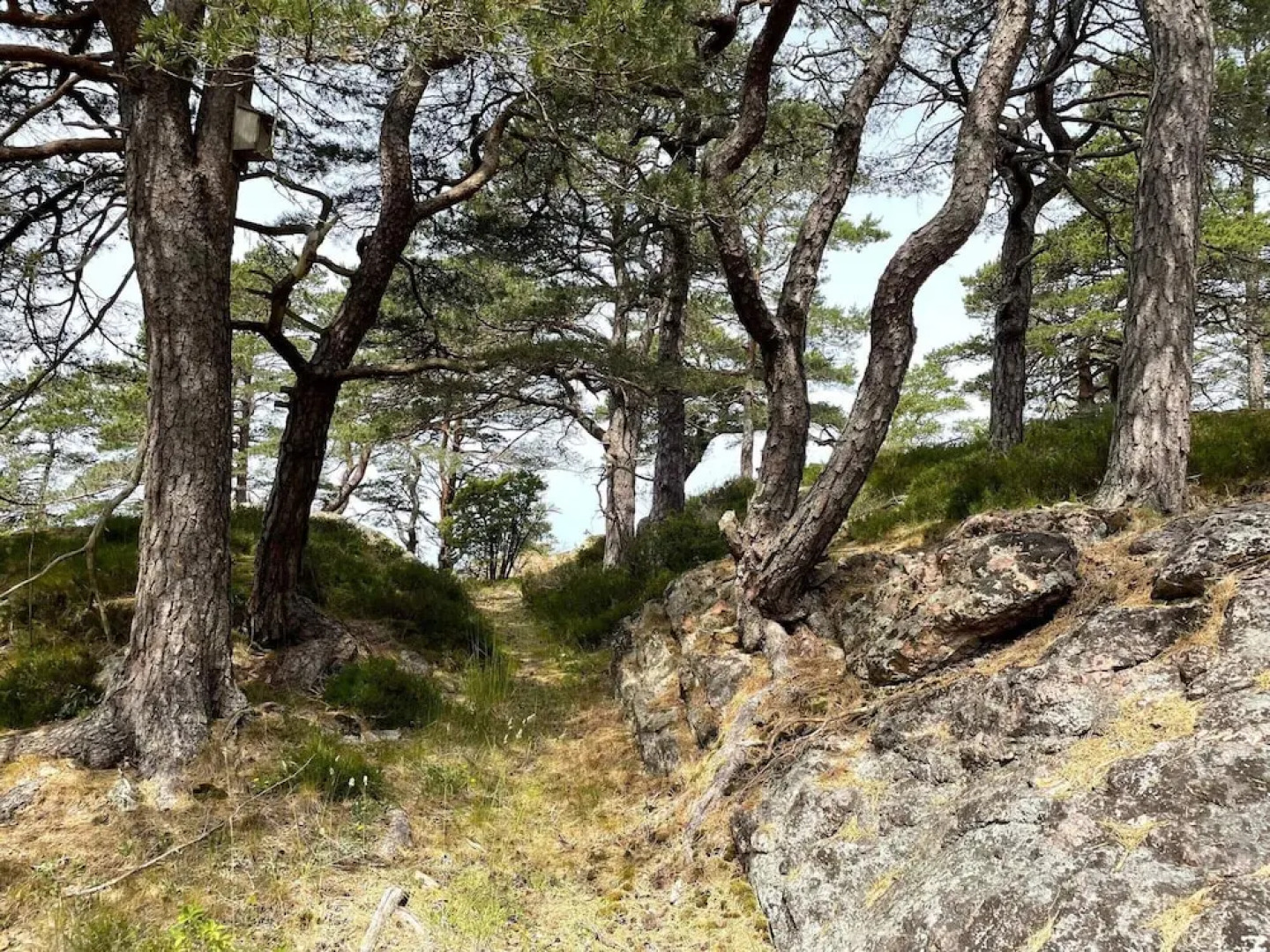 3 Person Holiday Home in Uddevalla-by Traum