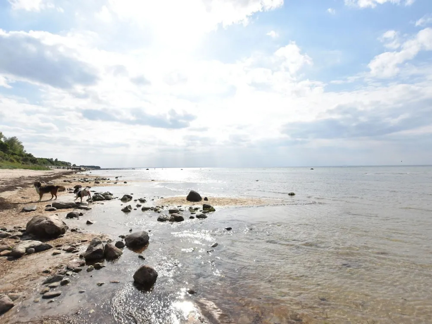 Spacious Apartment in Rakow near Sea